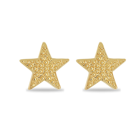 Pozlacené Stříbro 925/1000 - Náušnice přibližná hmotnost: 1.6 gramů