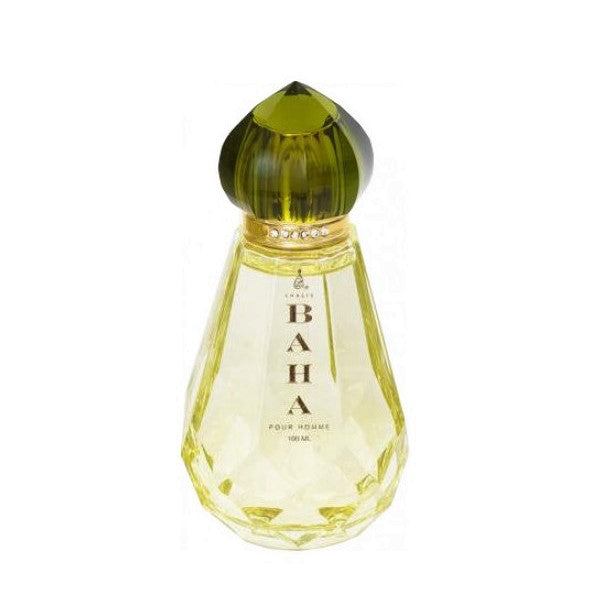 100 ml Eau de Parfume Baha svěží citrusová dřevitá Vůně pro muže | -80% Akce na Šperky