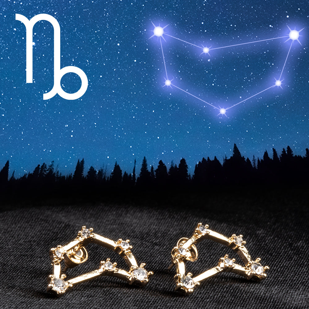 Kozoroh Pozlacené Slitinové Náušnice s Bílým Emporia® Křišťálem 1 