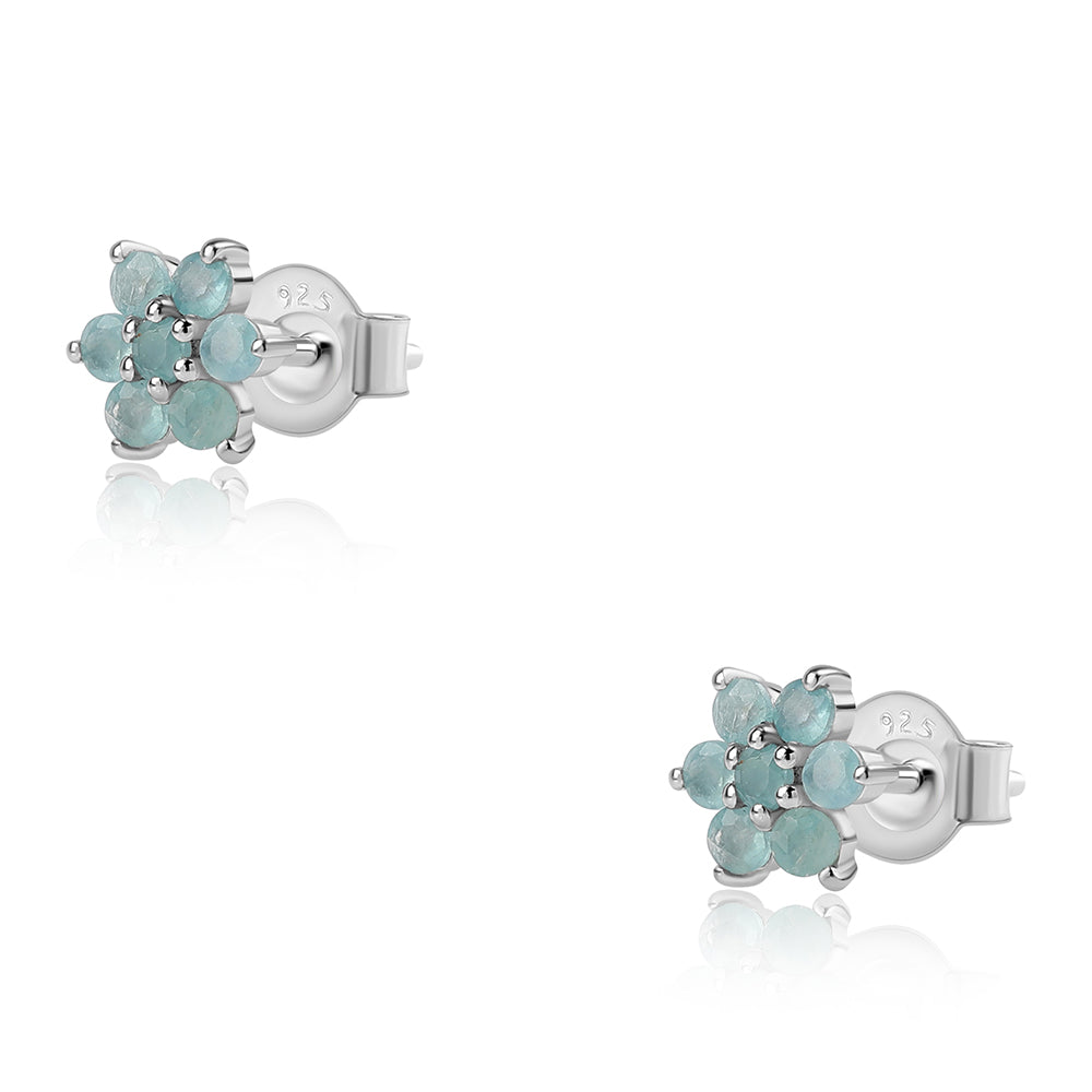 925 / 1000 Sterlingové Stříbro Náušnice s Grandidieritem