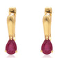 Pozlacené Stříbro 925/1000 - Náušnice s Madagaskarským Rubínem - Karátové číslo: 1.35. přibližná hmotnost: 3.63 gramů