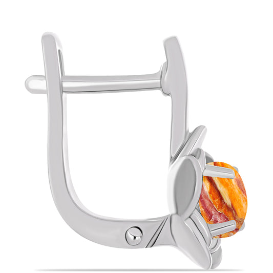 Stříbrné Náušnice s jaspisem (Lví tlapa)