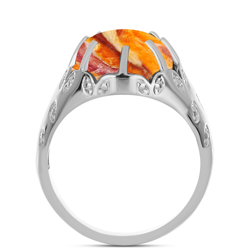 Stříbrný Prsten s jaspisem (Lví tlapa) 2 