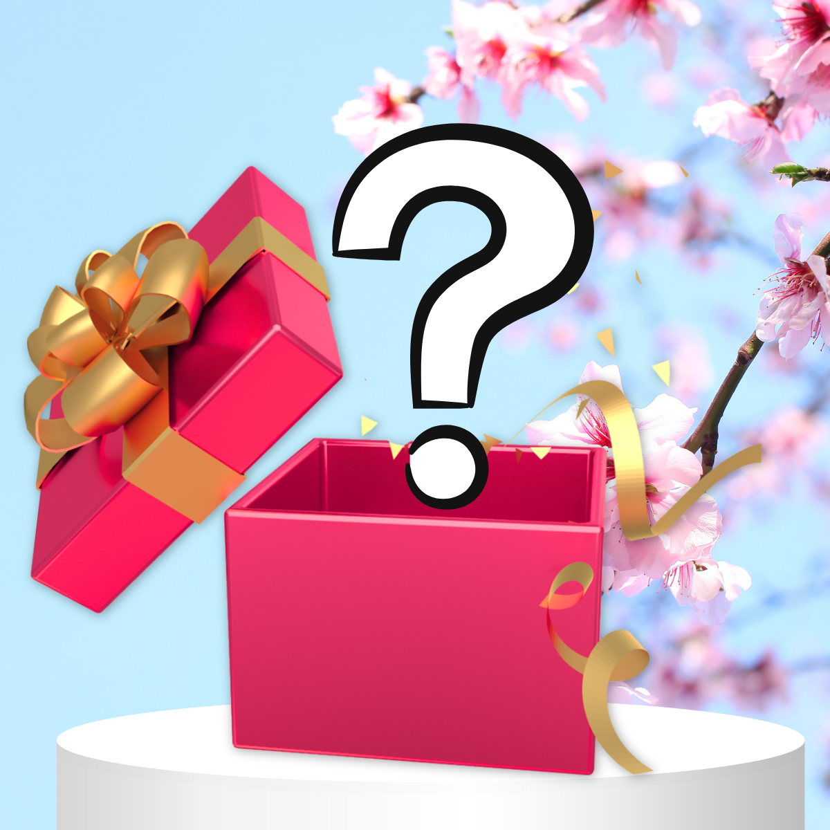 Tajný dárek 🎁 1 